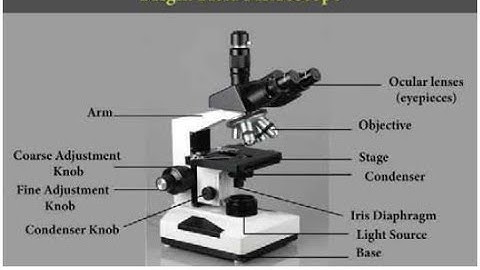 Microscopy part 2 Bright field microscope