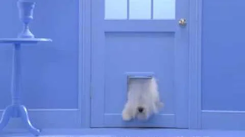 Cesar Dog Food Commercial