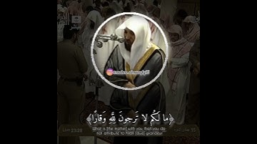 الشيخ د.#ماهر_المعيقلي .. تلاوة خاشعة ونادرة من صلاة الخسوف