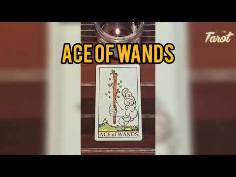 Video: Apa arti dari Ace of Wands?