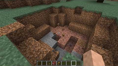 Minecraft 1.16.4 Duplication Glitch (Java Edition)