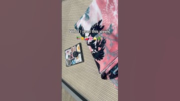 what I read this week!!! I’ve started the chestnut spring series by Elsie Silver 🤠