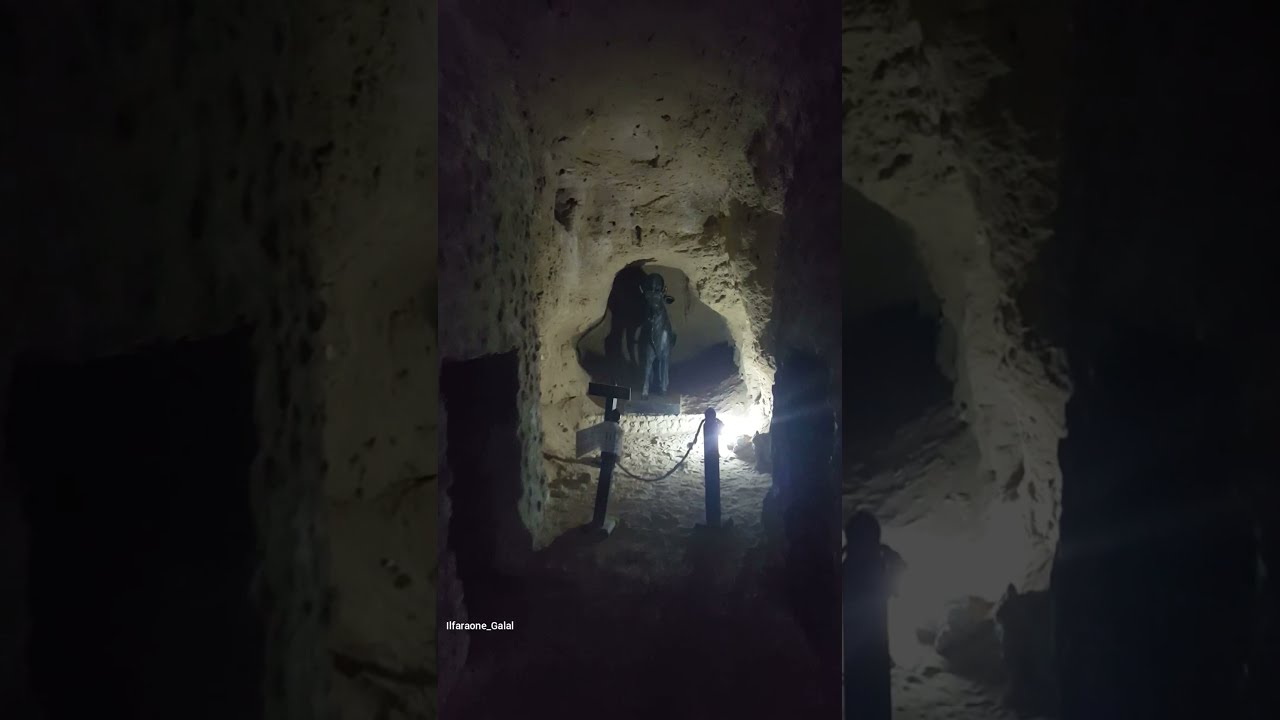 The Serapeum Of Alexandria Serapis Il Serapeo Di Alessandria 