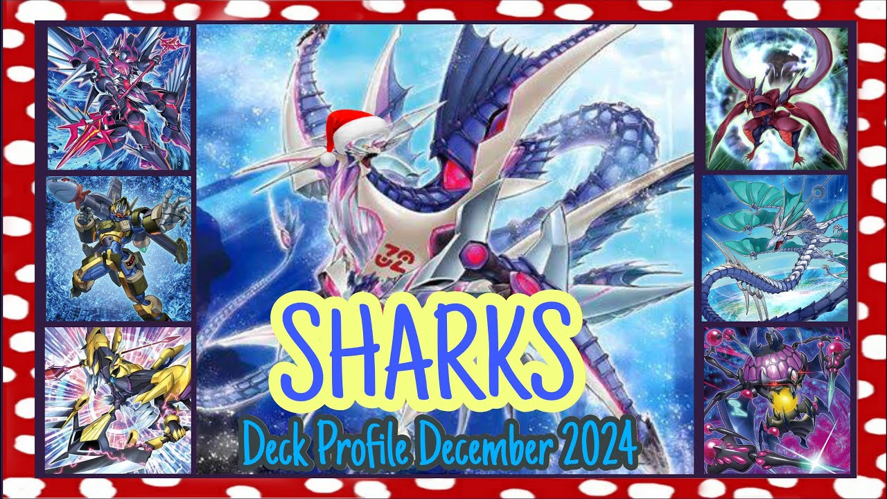 Shark Deck Profile 006 - December 2024 Yu-Gi-Oh! - YouTube