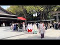 明治神宮 神前結婚式 Japanese Traditional Wedding at Meiji Shrine in Tokyo - Echo 168