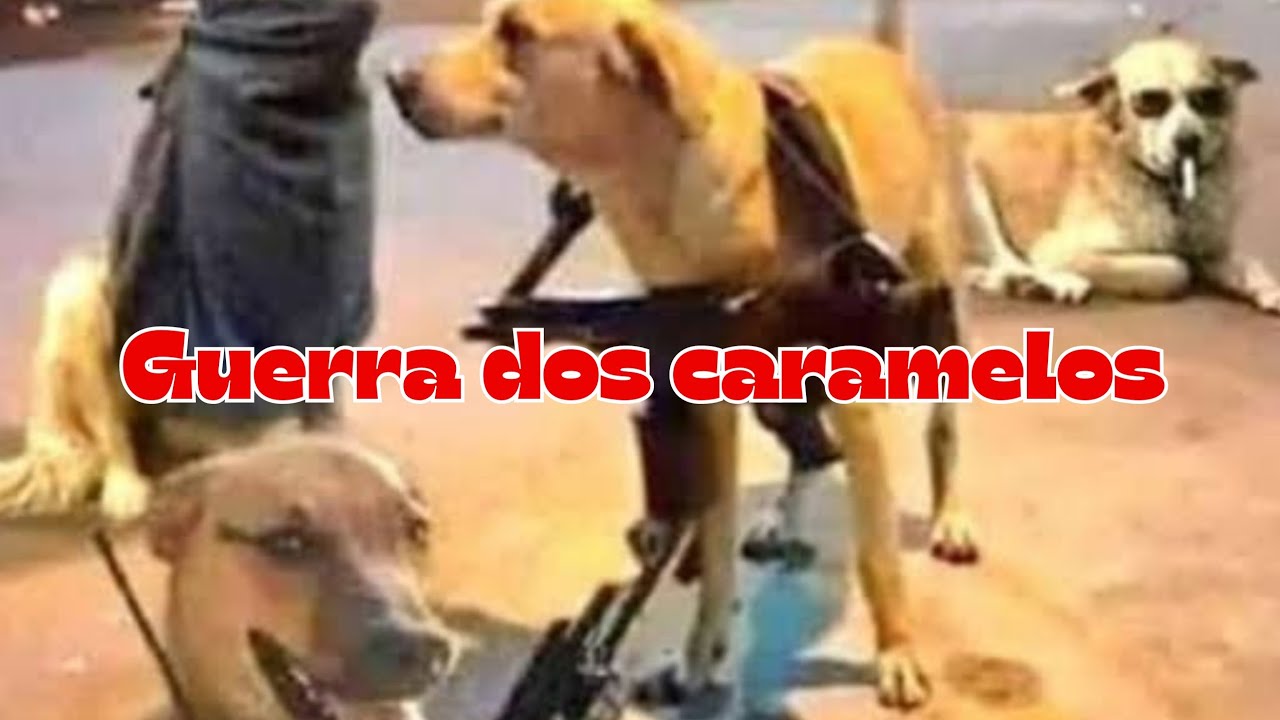 A guerra dos caramelos do norte e do sul