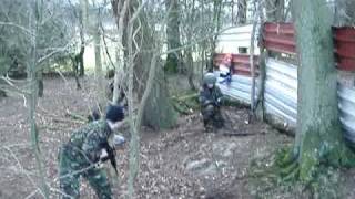 MOV05295
