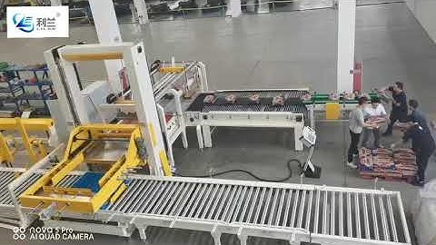 Gantry palletizer machine with divider for fast carton stacking