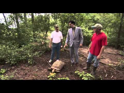 это какой вид песик? ანუ ეს რომელი პესიაო? :)