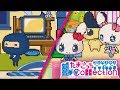 Youtube Thumbnail title