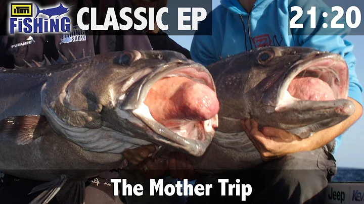 Yellowfin Kingfish Madness Part 3 - The Mother Trip