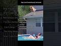 Dog I Just Turned Around, Not Scared#funnyanimals#dogdiving#cutedogmoments#doglife