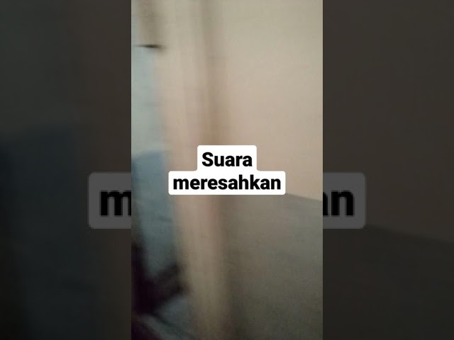 Suara meresahkan, mau ku gedor tapi... ah sudahlah :v class=