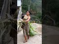 敲门也要有规律 先轻声敲一下 停一下 让里面的人听到 然后再敲两下 这是敲门 上来就咚咚咚咚 这是砸门 砸门是报丧 传统文化 敲门也要有规律 先轻声敲一下 停一下 让里面的人听到 然后再敲两下 这是敲门 上来就咚咚咚咚 这是砸门 砸门是报丧 传统文化