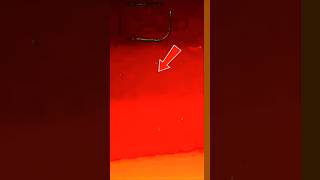 Isco madad ki Bahut zaroorat Hai  is ki madad Karen#viral #trending #explorpage#YouTube