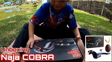 Unboxing Naja Cobra || Infrared Remote Control Electric Insect Simulation