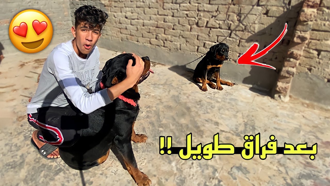 رد فعل بوتشر لما شاف بيلا لأول مره بعد المرض 😍