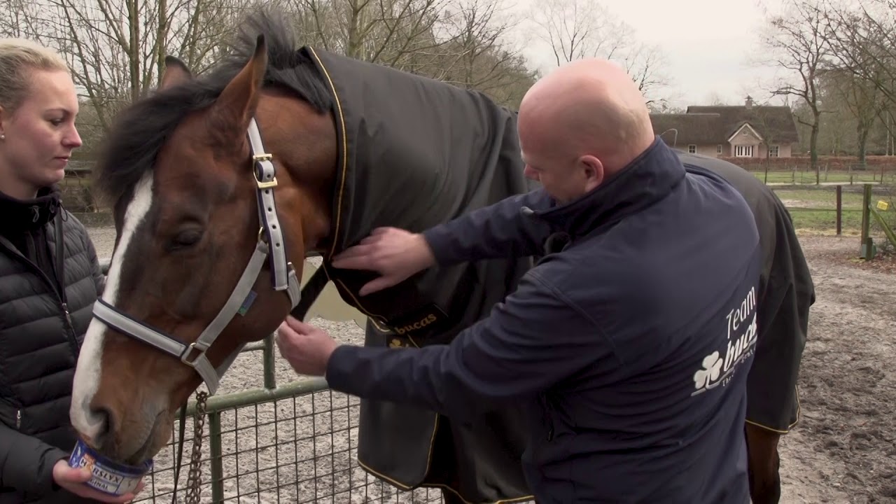 Hals paardendeken Bucas Irish Turnout Hals - YouTube