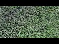 Укладка искусственной травы на футбольном поле в Мариуполе