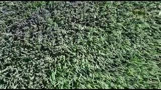 Укладка искусственной травы на футбольном поле в Мариуполе