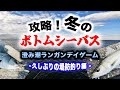 攻略！冬のボトムシーバス！澄み潮ランガンデイゲーム - 久しぶりの堤防釣り編 -