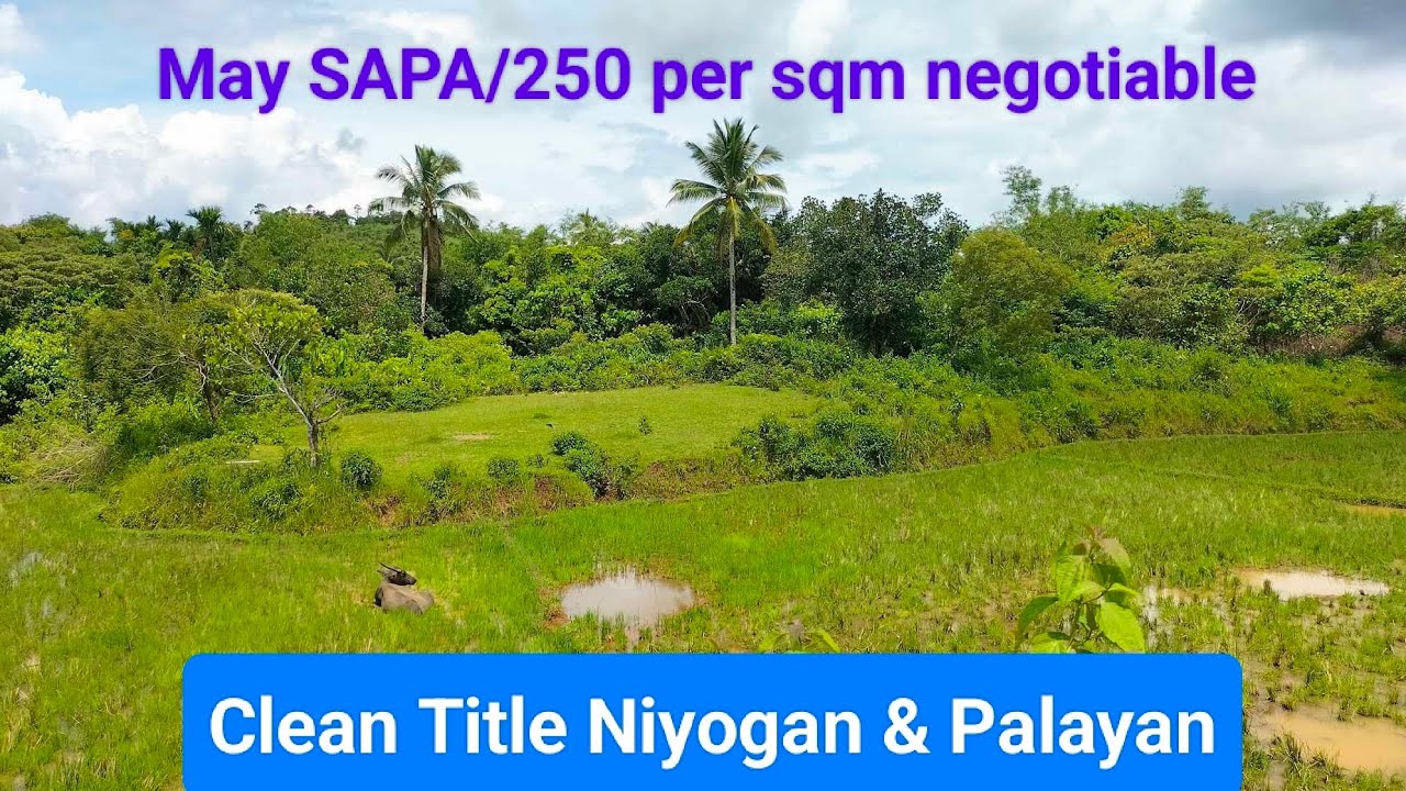 V202 FARM LOT FOR SALE CLEAN TITLE 250 pesos per sqm generated may kasama palayan at