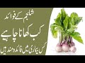 Shaljam Ke Fawaid(Turnip benefits) in urdu شلجم کھانے کے حیران کُن فائدے | ❤️Health Food Message