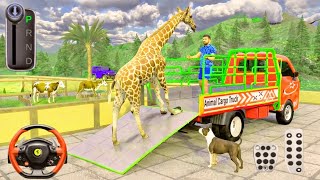 Animal Truck Simulator game 3D ! Android gameplay class driving truck animal Transport Hospital screenshot 2
