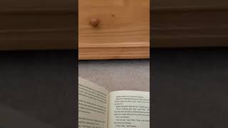 Holes Chapters 29 - 30