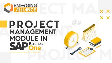 PROJECT MANAGEMENT MODULE IN SAP BUSINESS ONE