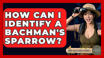 How Can I Identify A Bachman