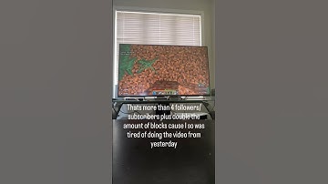 day 10 of traveling one block per follower/subscriber 138/100000 #minecraft #blocks #travelled