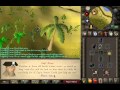 Runescape 2007 - Harpie Bug Swarm Task Slayer Guide