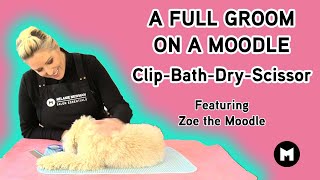 A full groom on a Moodle