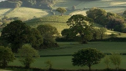 ﴿فَلِذلِكَ فَادعُ وَاستَقِم كَما أُمِرتَ وَلا تَتَّبِع أَهواءَهُم ﴾ -أحمد بن طالب -سورة الشورى