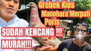 Download Lagu Sudah Kencang Murah !!! | Grebek Kios Manohara Merpati Poris !! MP3
