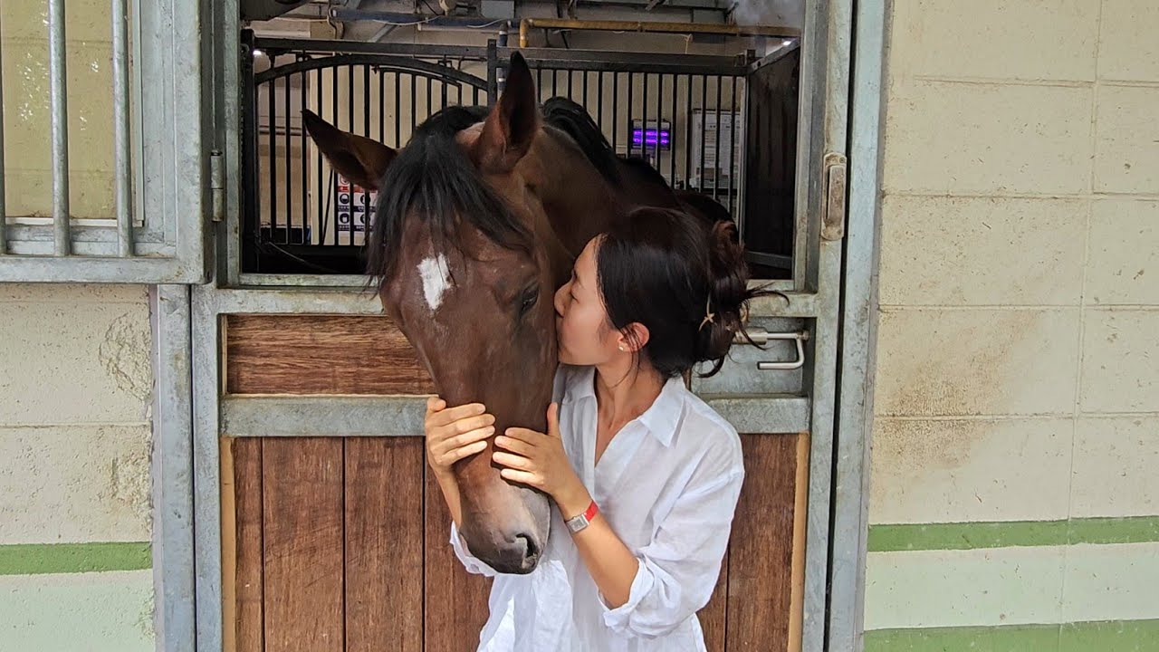 모든 경주마가 넘어야 하는 산 