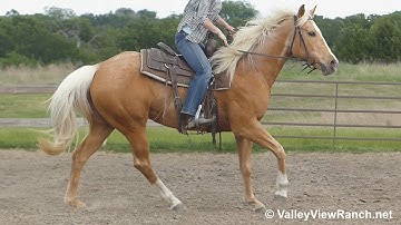 Goldi Flight - riding in outdoor arena - ValleyViewRanch.net