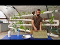 כיצד להכין שתילים - LivinGreen Hydroponics and Aquaponics