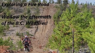Exploring A Fire Road on a Dirt Bike Somewhere In Cariboo B.C.