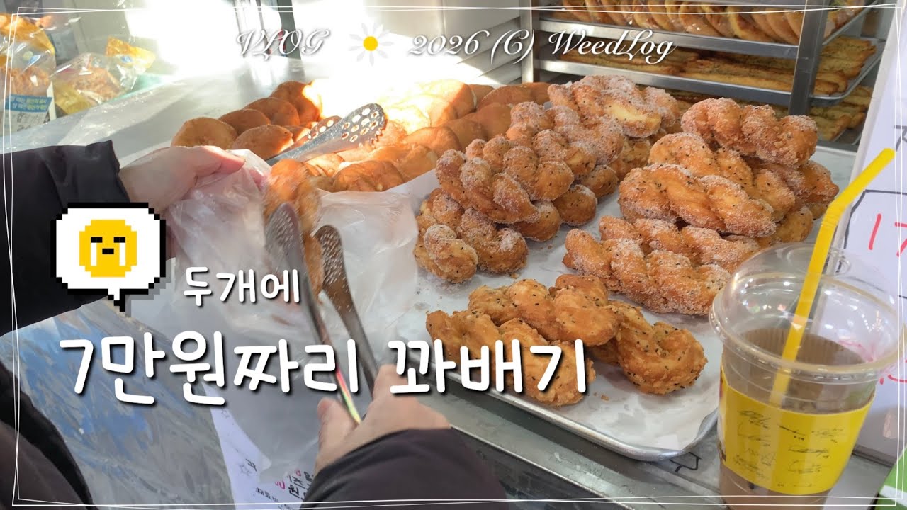 ENG vlog 7만원짜리 꽈배기에 내용이 하나도 기억 안나는 브이로그🤣 식탁보 만들고 유담들밥 외식, 용인 중앙시장 구경, 내 고양이랑 뒹굴 / 위드로그 2026년 2월 1주