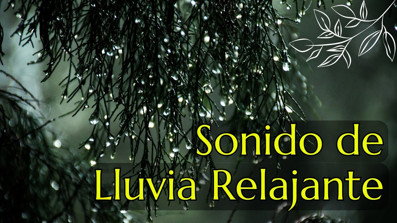 SONIDO DE LLUVIA PARA DORMIR, MEDITAR Y RELAJARSE PROFUNDAMENTE #lluvia ...