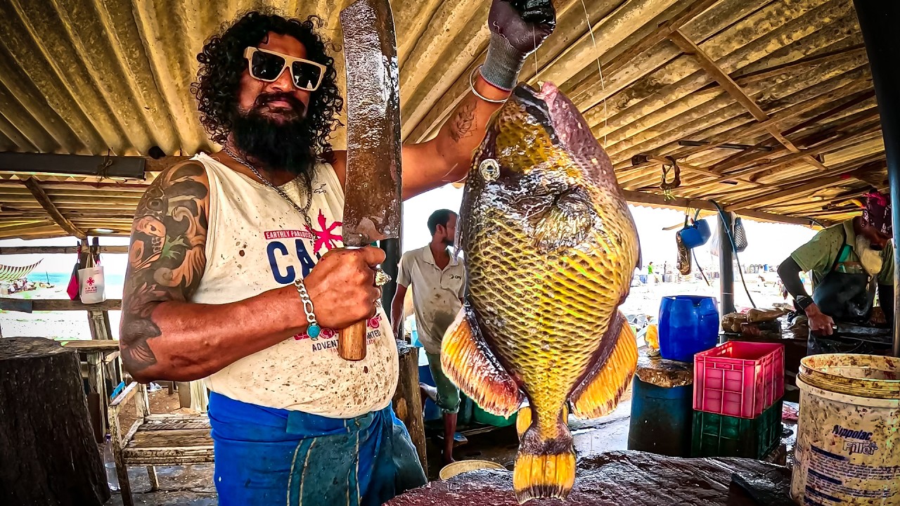 The Blade of Negombo Ravi’s Masterpiece on a Giant Triggerfish