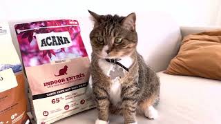 🐩🐈Обзор на корм ACANA для собак и кошек//♡*༄  #корм #кормдлясобак #кормдлякошек #acana