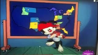 Wakko Plays Violin
