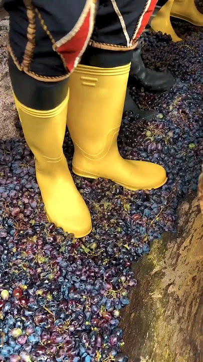 8000 Year Old Grapes Wine Making Process😱😮 || #shorts #shortsfeed #viralshorts