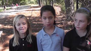 George Walton Academy - 3rd Grade