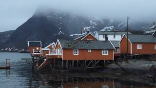 Lofoten Islands: REAL SOUND 🔊 Sound of Nature in winter