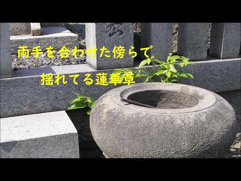 僕にまかせて下さい グレープ 【高音質カラオケ】