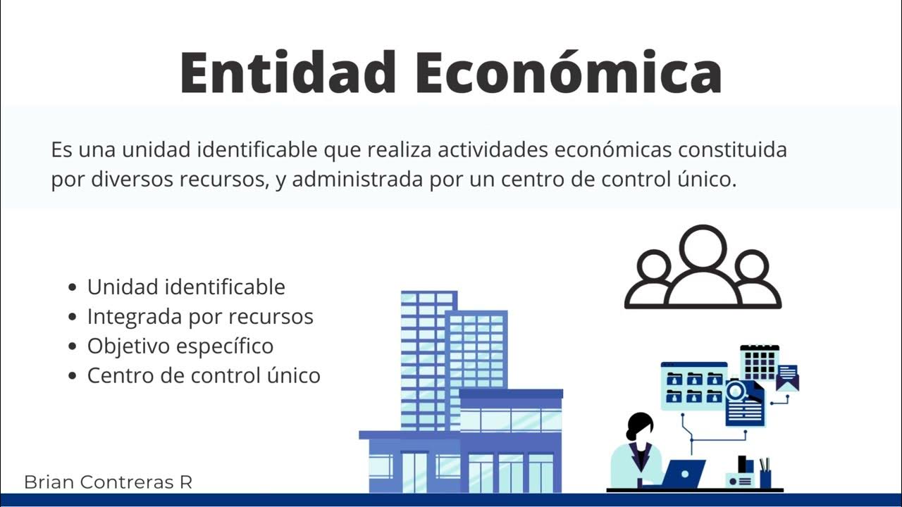 Ejemplo De Entidad Económica Postulado Básico